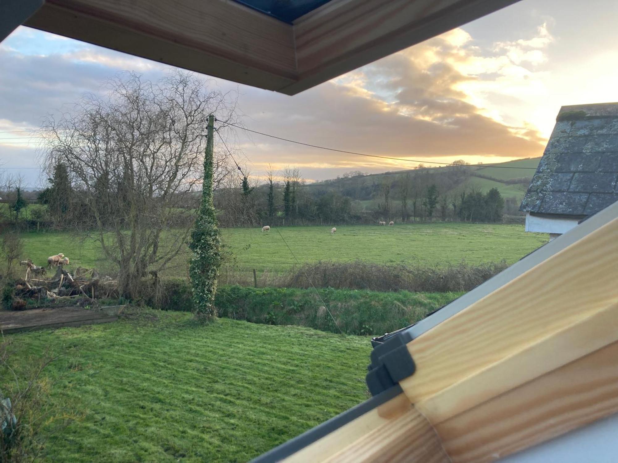Rural Devon Retreat In Stunning Exe Valley. إكزيتر المظهر الخارجي الصورة